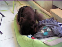 PETITE SIESTE
