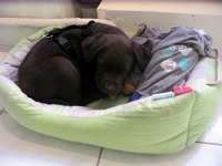 TROP DUR!!!